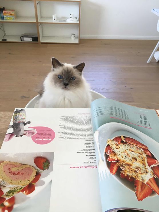 Bild von enneff Bild von enneff