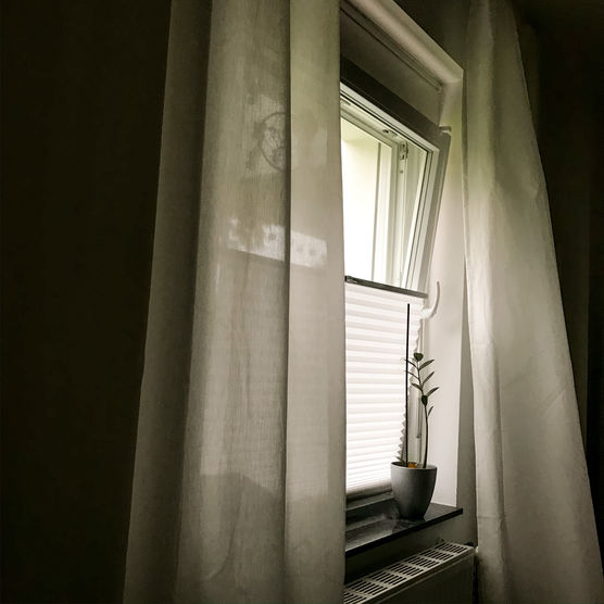 Morgenlicht im Herbst. Morgenlicht im Herbst.