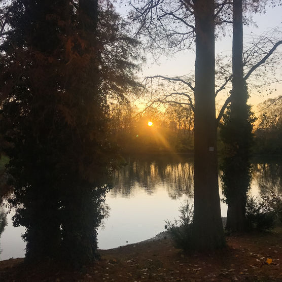 Ein kurzer Herbstspaziergang bei Ein kurzer Herbstspaziergang bei