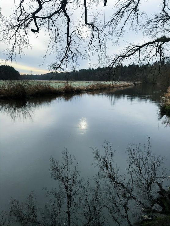 Bild von Isarrheinchen Bild von Isarrheinchen