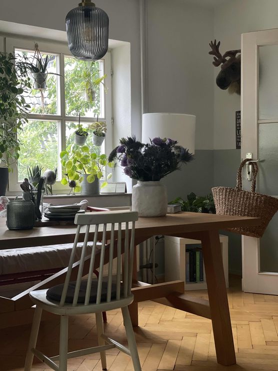 Bild von Stephani H Bild von Stephani H