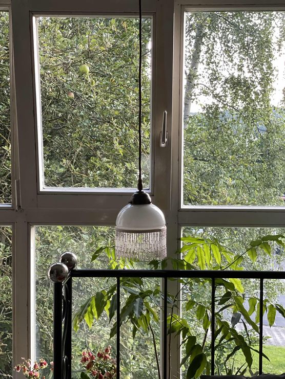 Bild von Stephani H Bild von Stephani H