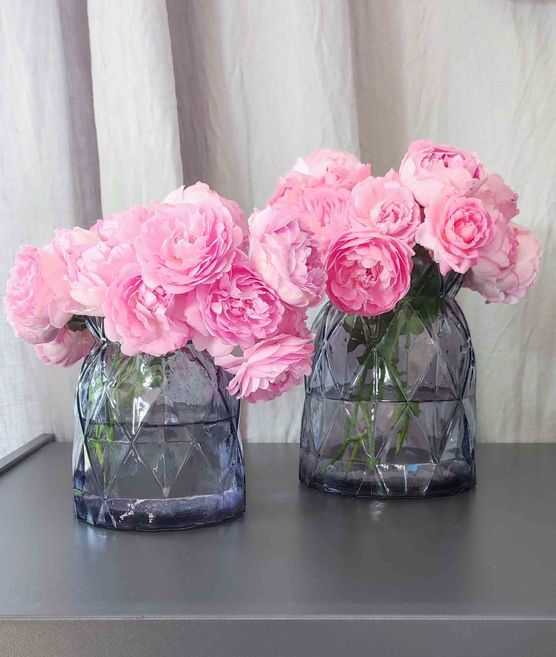 Bild von Petrol Bild von Petrol