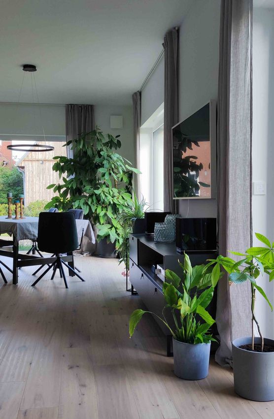 Bild von Petrol Bild von Petrol