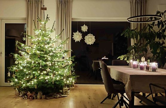 Bild von Petrol Bild von Petrol