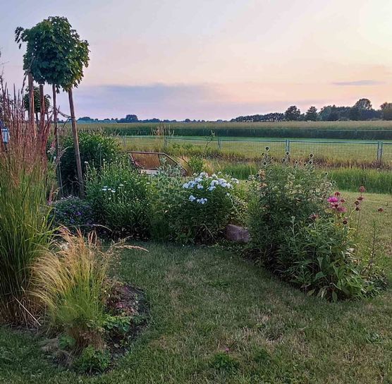 Bild von Petrol Bild von Petrol