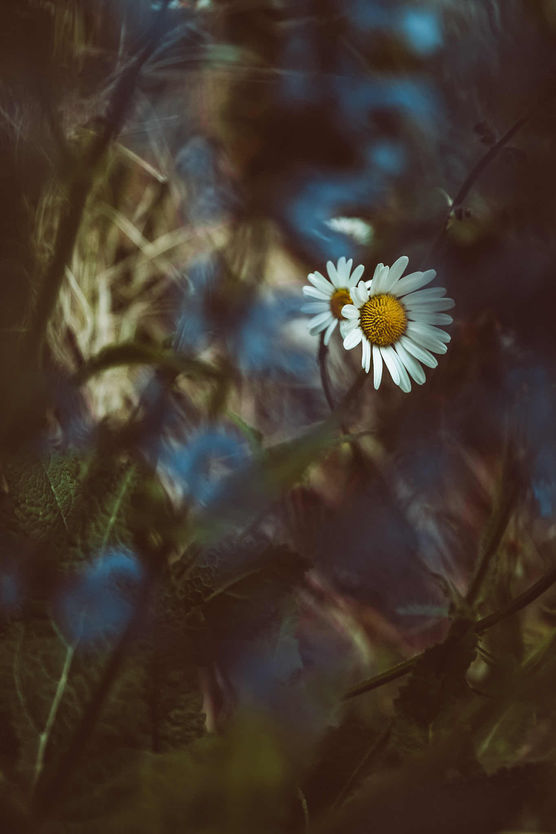 Bild von oversea_design Bild von oversea_design