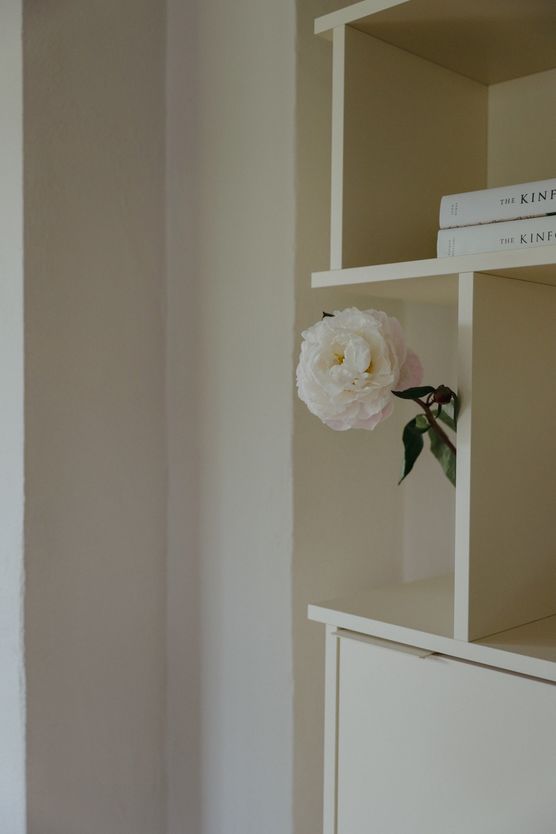 Die ersten Pfingstrosen der Die ersten Pfingstrosen der