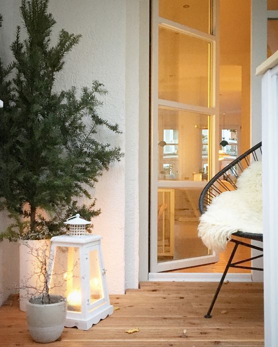 Große Eibenliebe Große Eibenliebe