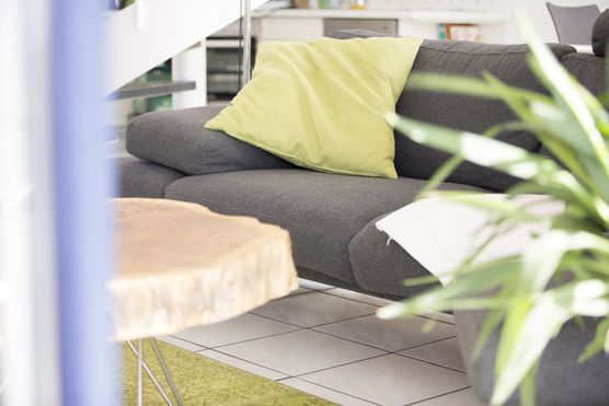 Sofa im Fokus - Greenery als Akzent Sofa im Fokus - Greenery als Akzent