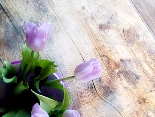 Frühlingsboten Frühlingsboten