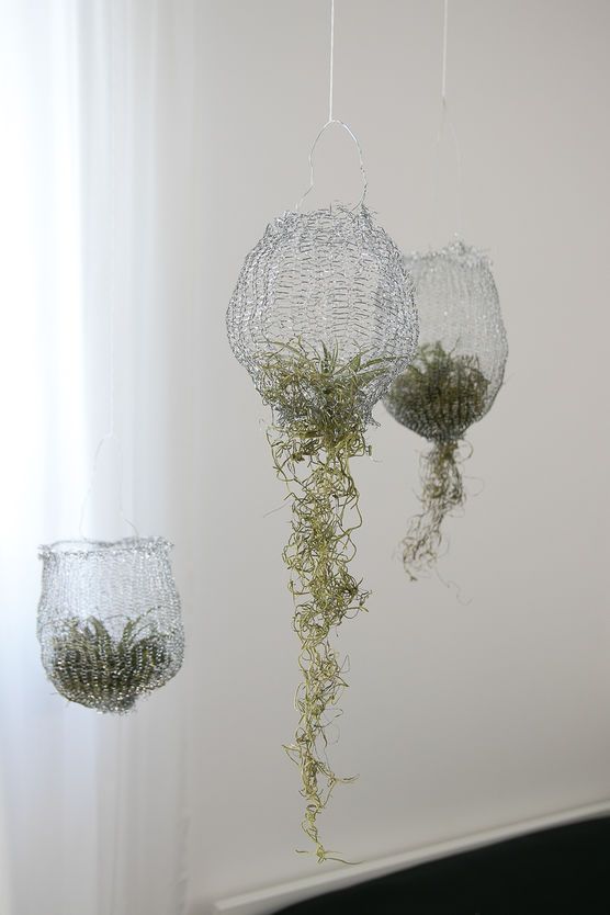 DIY Air Planting DIY Air Planting