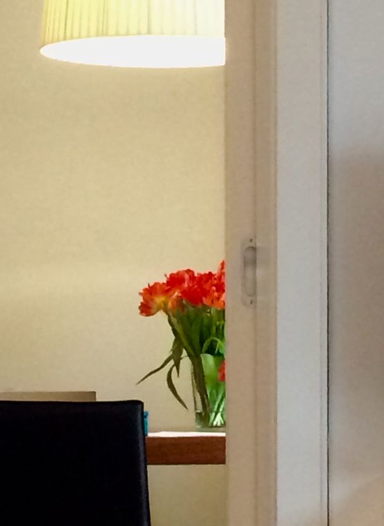 Frühlingsboten im Haus Frühlingsboten im Haus