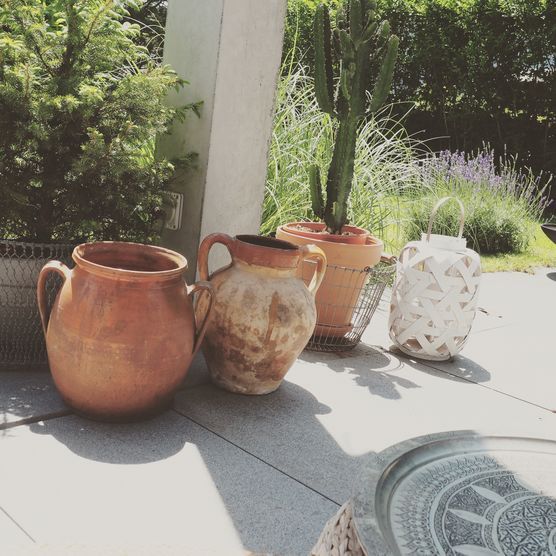 Gartenlaune ??? Gartenlaune ???