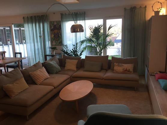 Wohnzimmer mit Zimmerpflanzen Wohnzimmer mit Zimmerpflanzen