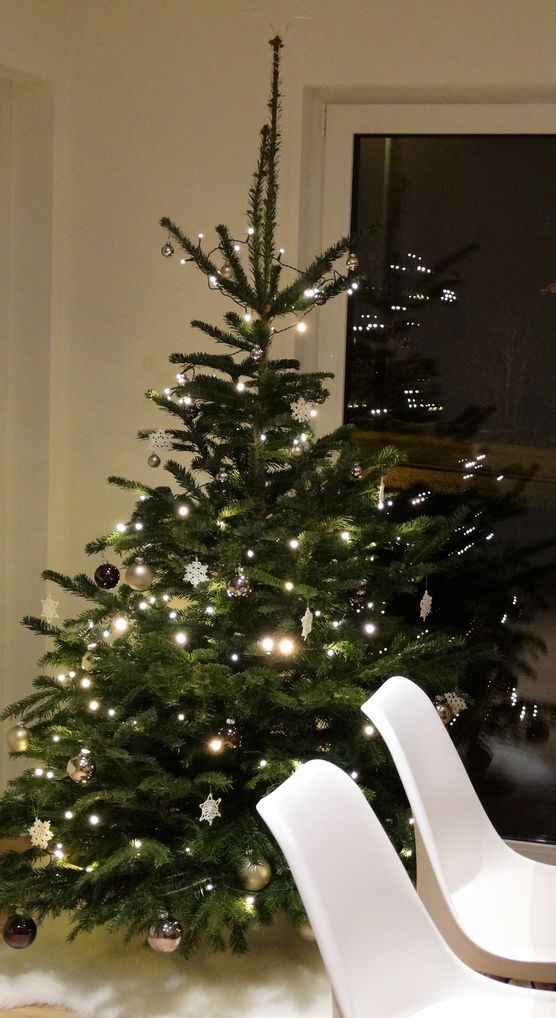 Weihnachtsbaum Weihnachtsbaum