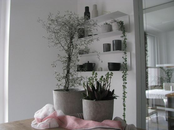 Lange war diese Wand Lange war diese Wand