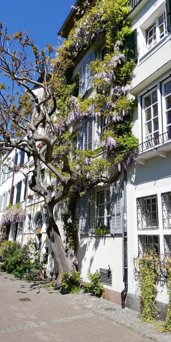 heute sind wir mit heute sind wir mit