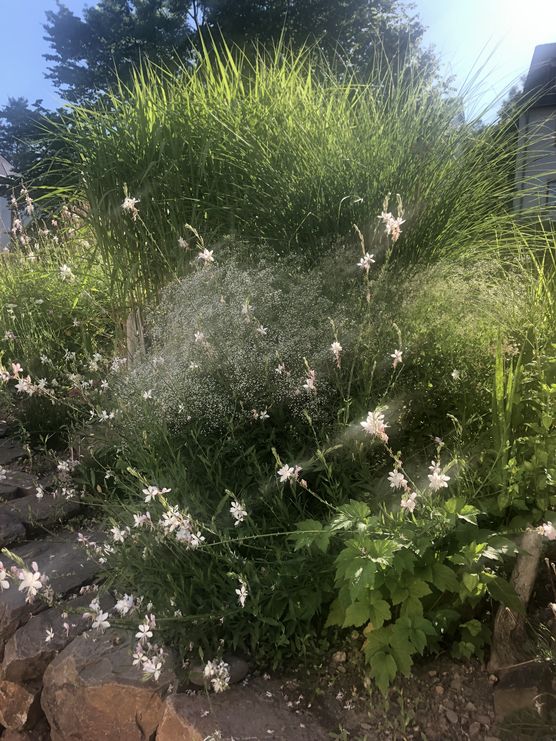 Bienenparadies.
Mein Paradies. Bienenparadies.
Mein Paradies.