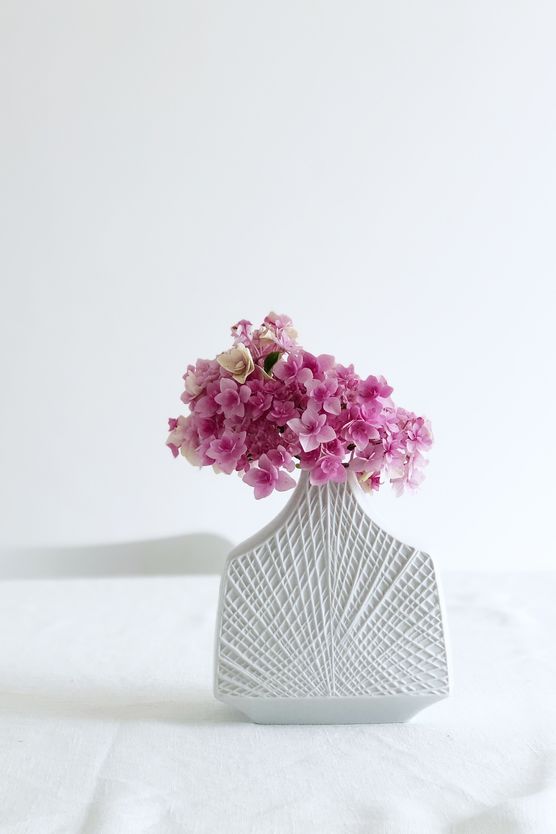 Die Hortensie im Vorgarten Die Hortensie im Vorgarten