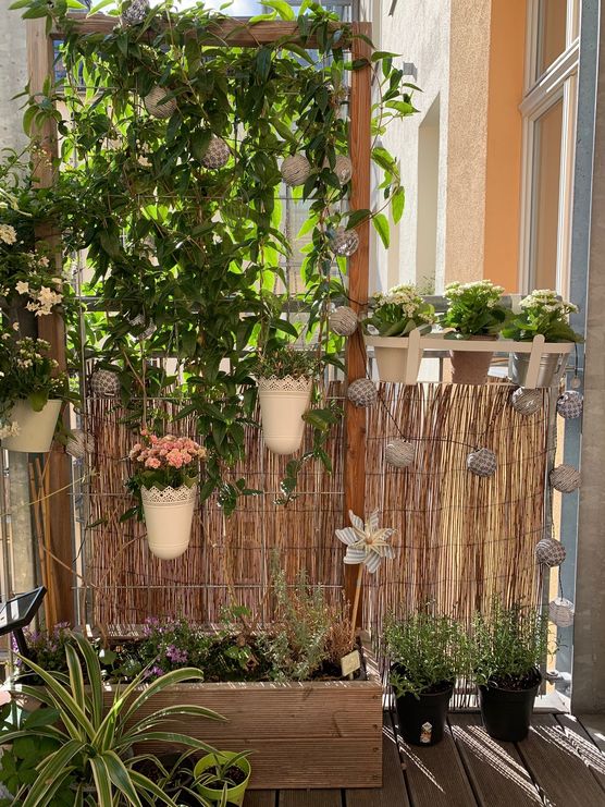 Das selbstgebaute Rankgitter lässt Das selbstgebaute Rankgitter lässt