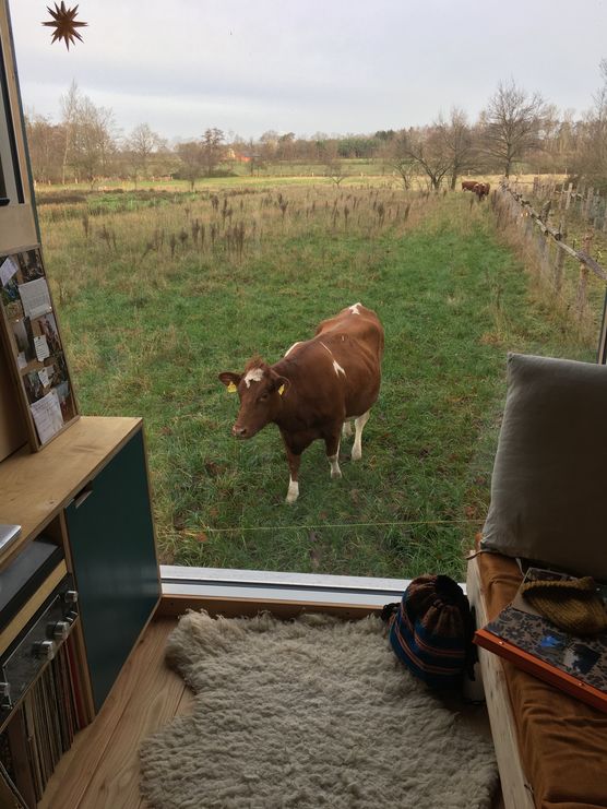 Ein wenig Besuch von Ein wenig Besuch von