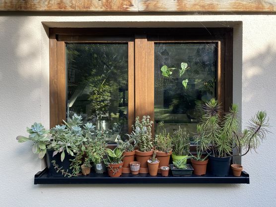 Hier die überwiegende Mehrheit Hier die überwiegende Mehrheit