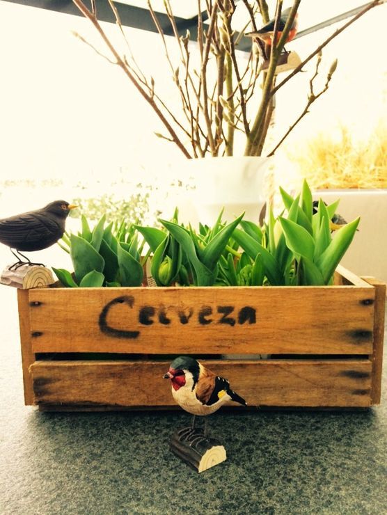 Alle Vögel sind schon da Alle Vögel sind schon da