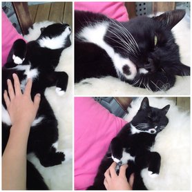 Meine liebste Farbkombi schwarz/weiß/pink ; P