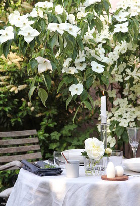 Sommerschöne Einrichtungsideen: Der Juni auf SoLebIch