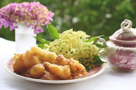 Holunderblüten und kein Ende: Hugo und Hollerkücherl