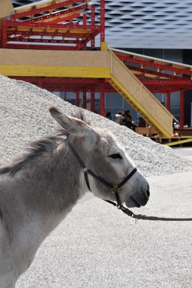Art Basel 2018: Und welche Kunst berührt euch?