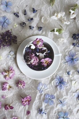 Blumen trocknen und färben mit Petit Sourire