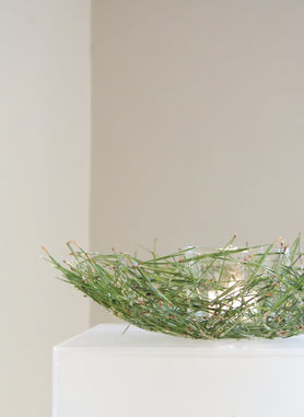 In 5 Schritten zur filigranen Schale aus Kiefern- und Piniennadeln mit snild