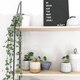 Bild von _wohnschmuck