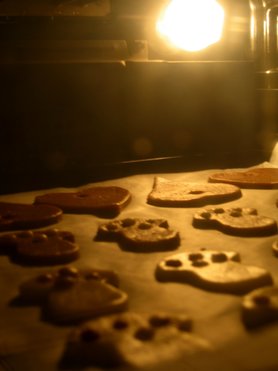 ...der Sonne hinterher...