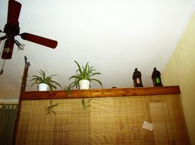 Alte Wohnung: Trennwand