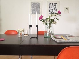 Die wilden Rosen aus anderer Perspektive