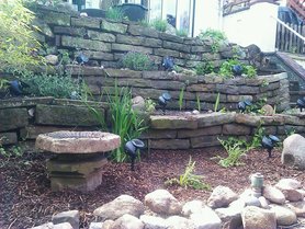 Handyschnappschuss vom Kräutergarten