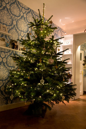 Unser Weihnachtsbaum