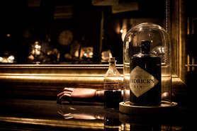 Die Qual der Wahl...