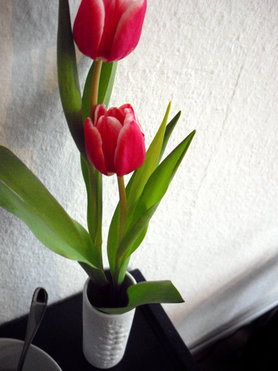 Der Frühling kommt!