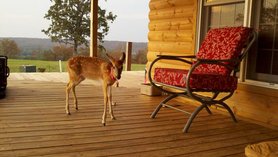 Hier sitzt der Weihnachtsmann