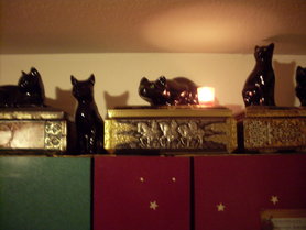 Katzen