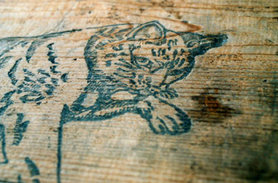 katze auf einer der holzkisten