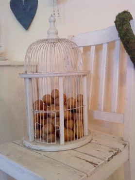 kartoffeln im käfig