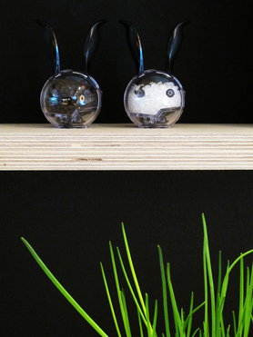 Pfeffer- & Salz......