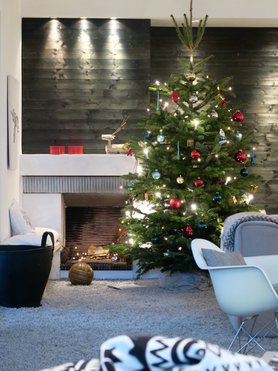 Weihnachtsbaum 2015.....