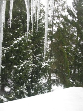 winterzauber