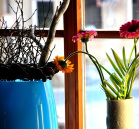 blumen machen auch mich glücklich